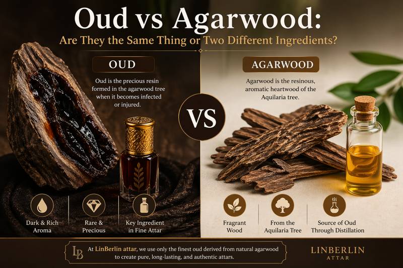 Oud Vs Agarwood: Key Differences Explained For Attar Lovers