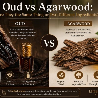 Oud vs Agarwood: Key Differences Explained for Attar Lovers